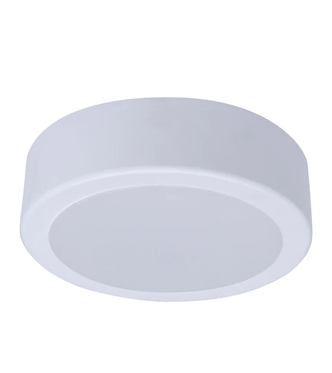 DN065C G4 LED20/840 19W 220-240V 8-D225 Philips