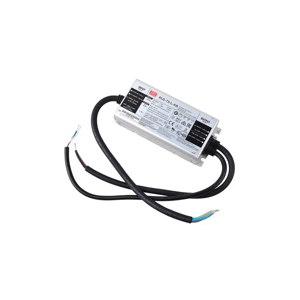 Driver XLG-75-L-AB MW 1