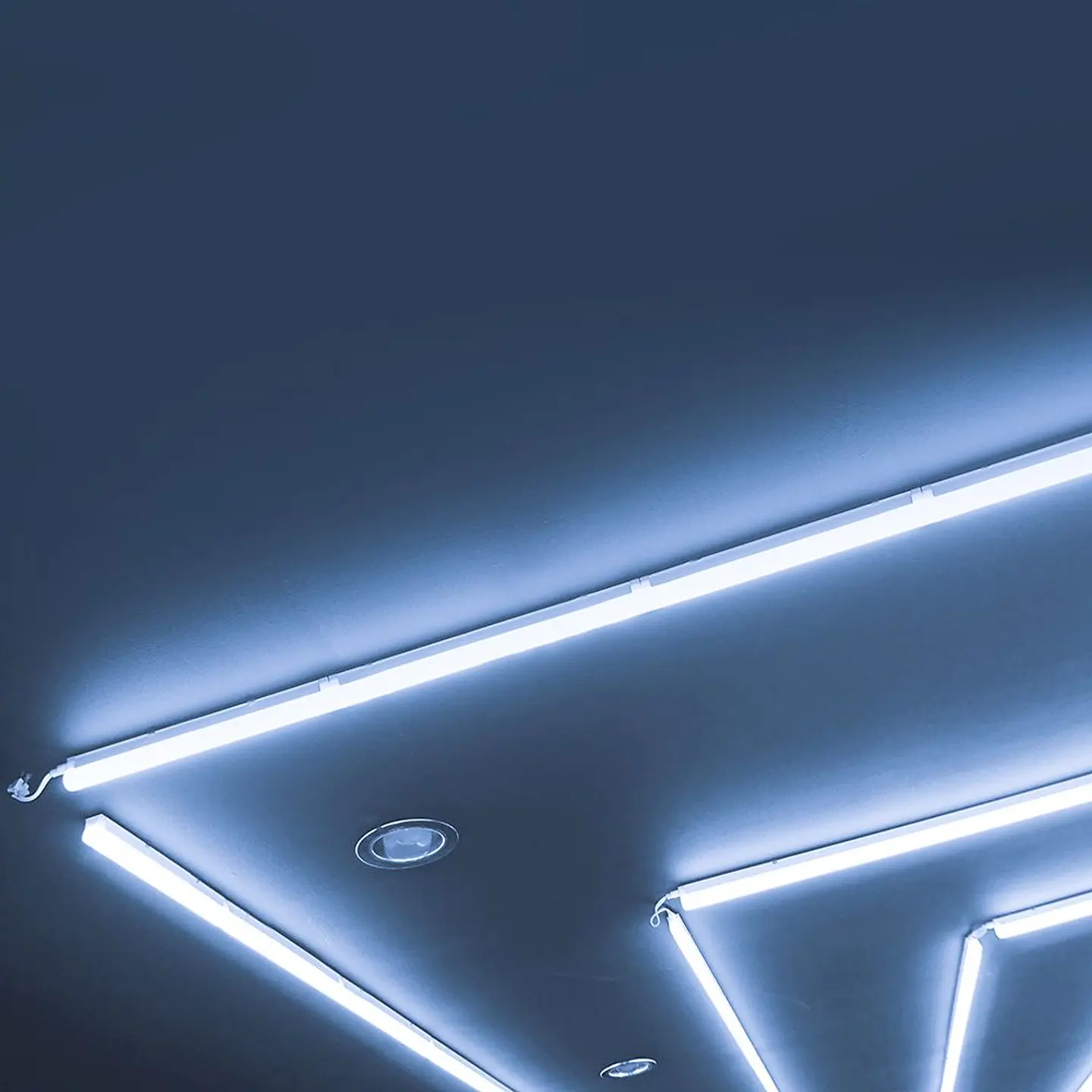 Régua LED T5 chip CREE 7W 6500K 600mm V-TAC 4