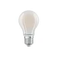 LED lamp Classic A 75 Filament DIM P 7,8W 840 FR E27 Ledvance - miniatura 2