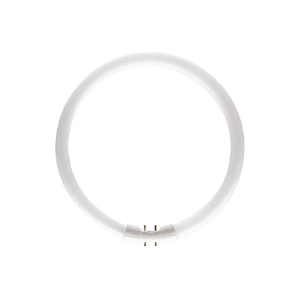 Lâmpada MASTER TL5 Circular 40W 840 2GX13 byWATT 1