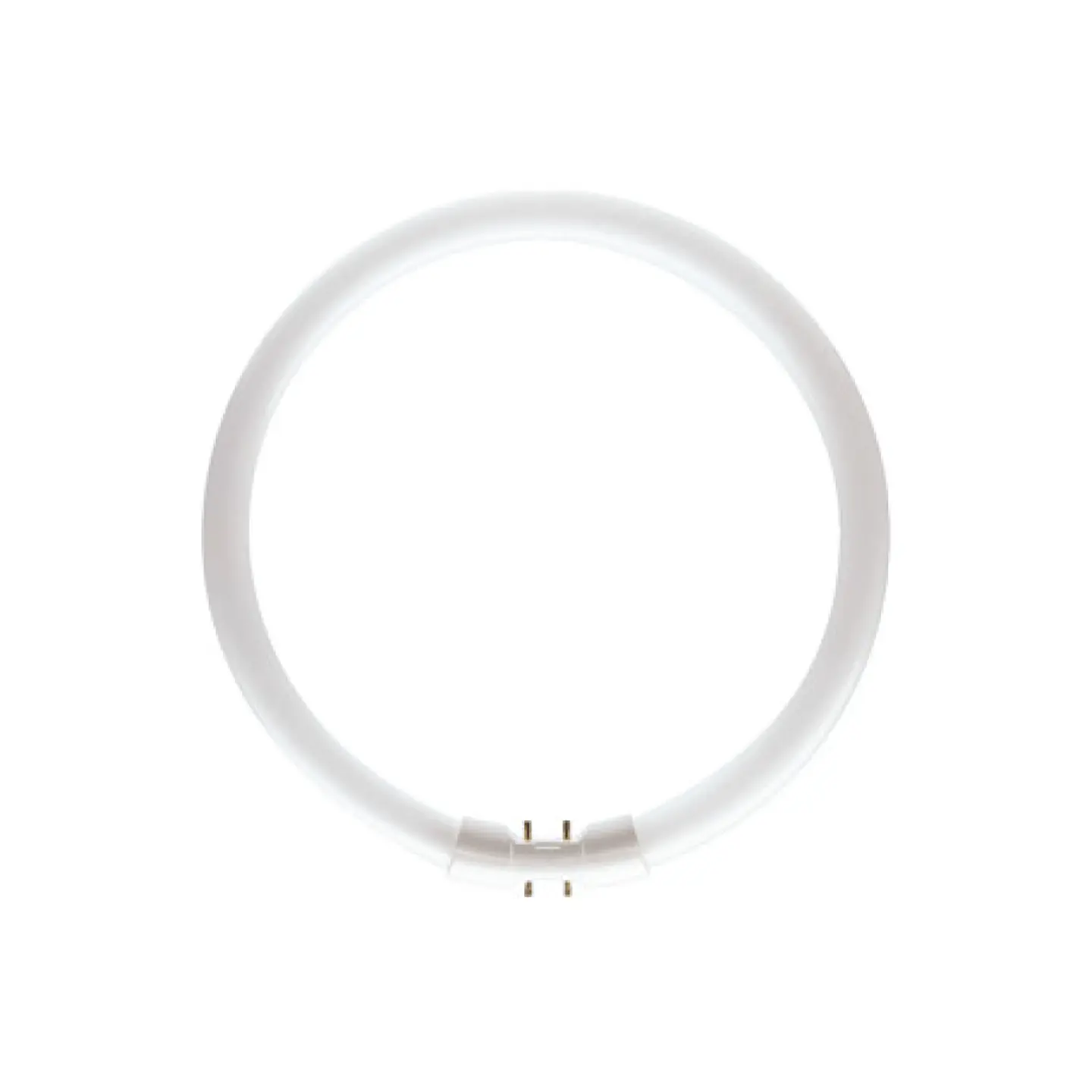 Lâmpada MASTER TL5 Circular 55W 2GX13 byWATT 1