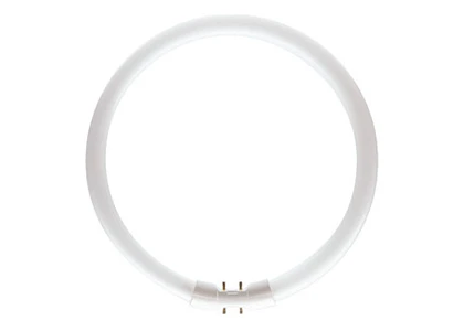 MASTER TL5 Circular Lamp 22W 2GX13 byWATT