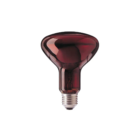 Lâmpada Infravermelha R95 100W 230–240V E27 Vermelha byWATT