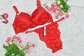 Conjunto de ropa interior con encaje Copa B - Miniatura 6