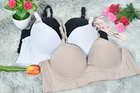 Brasier tipo bustier Copa D