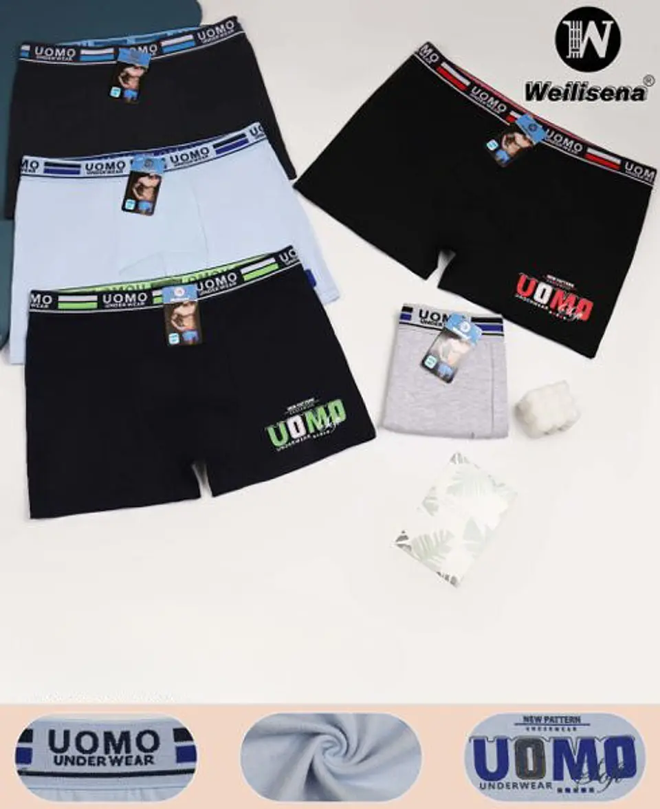 Boxer de hombre  1