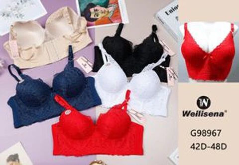 DOCENA SOSTEN COPA D 