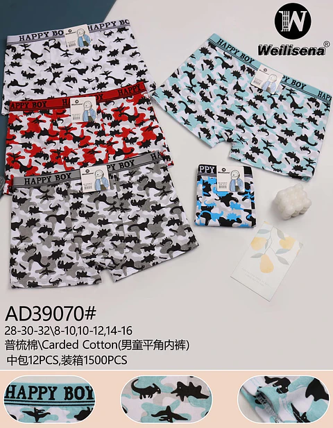 DOCENA DE BOXER DE NIÑOS