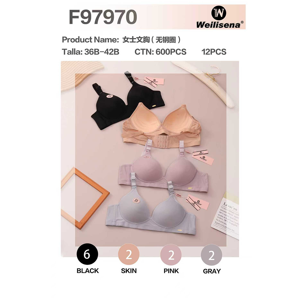 SOSTEN SIN BARILLAS COPA B