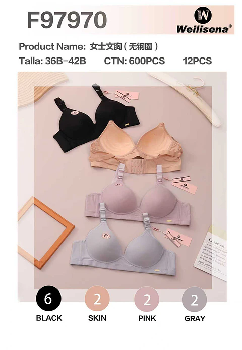 SOSTEN SIN BARILLAS COPA B