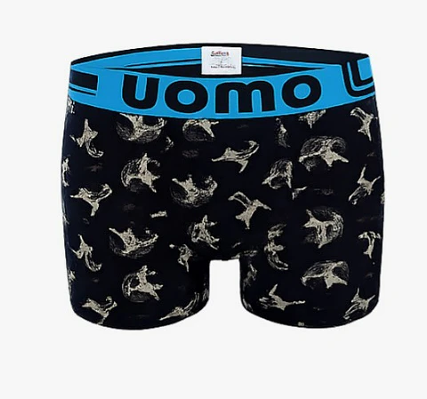 BOXER CABALLERO 8349