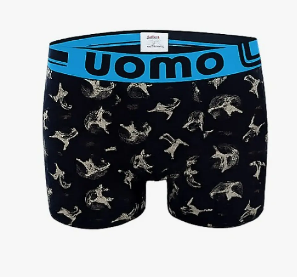 BOXER CABALLERO 8349 2