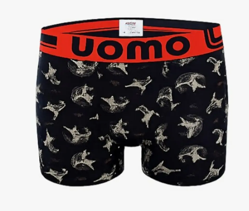 BOXER CABALLERO 8349 4
