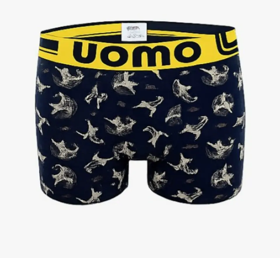 BOXER CABALLERO 8349 5