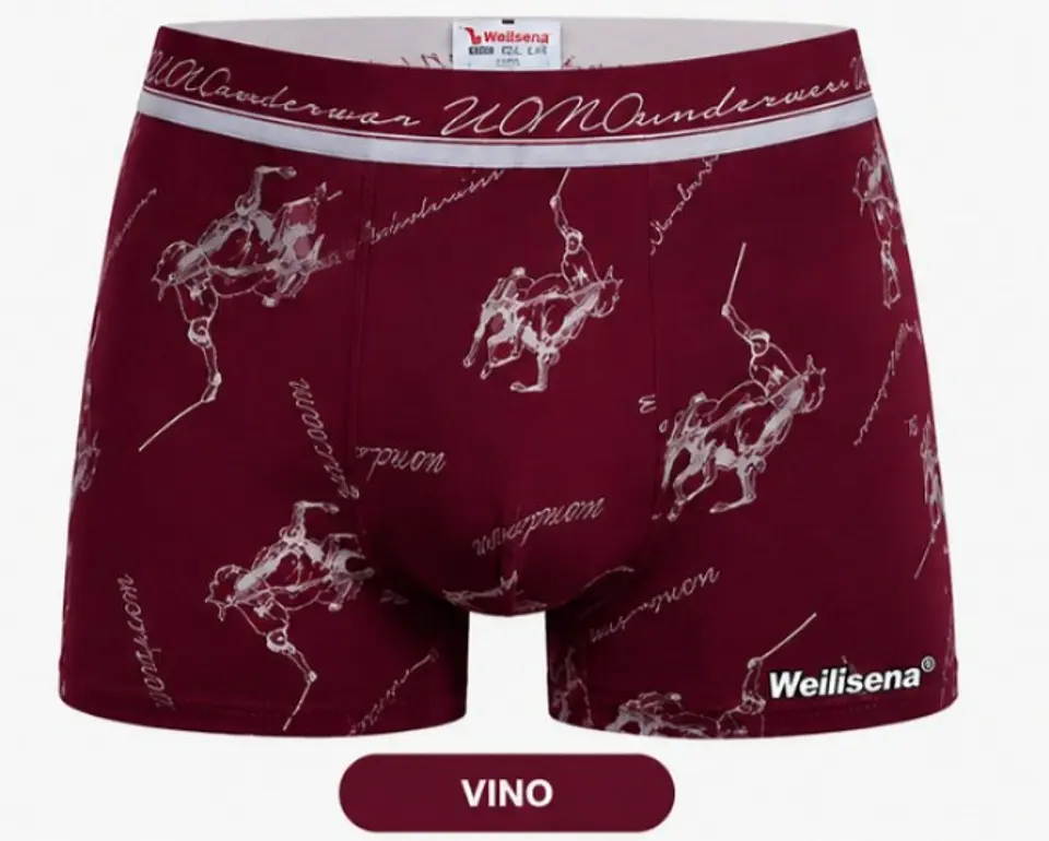 BOXER CABALLERO F-8502 2