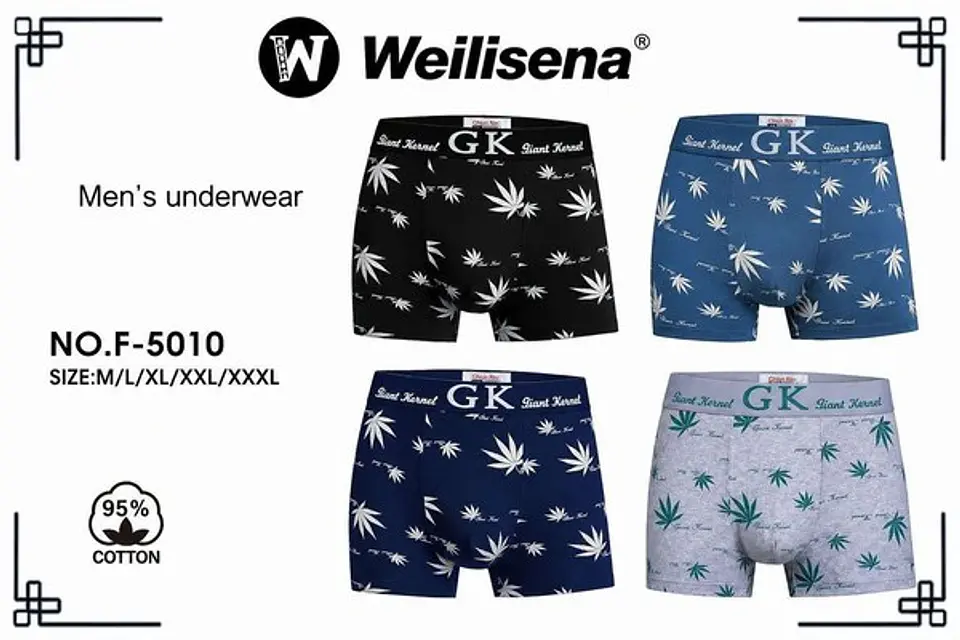 BOXER CABALLERO F-5010 1