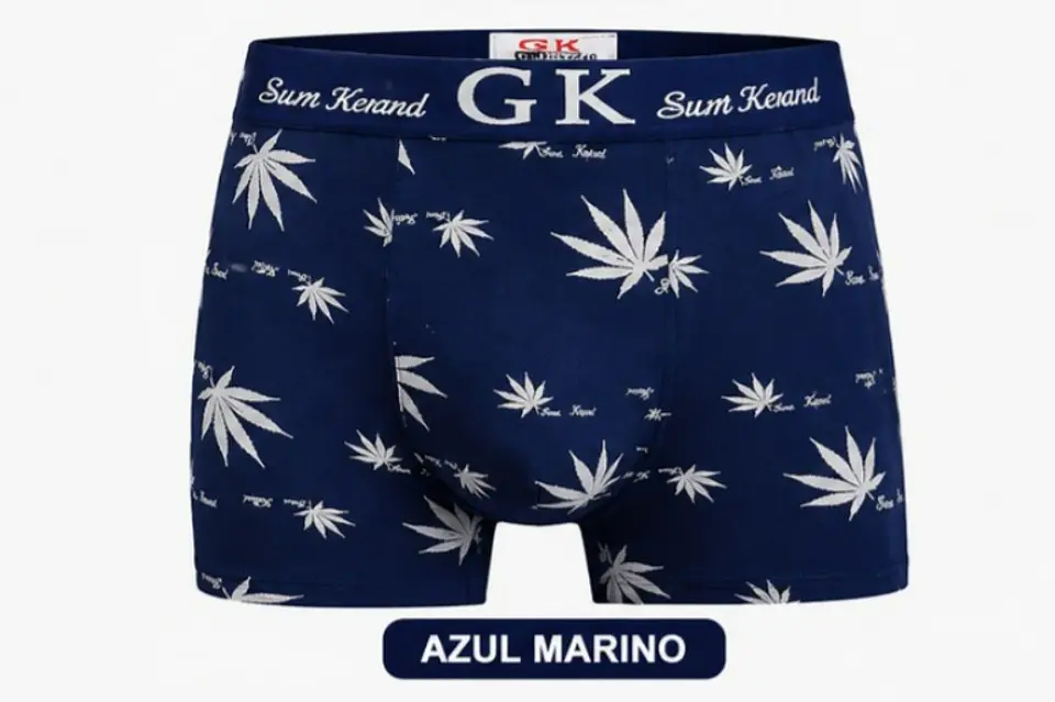 BOXER CABALLERO F-5010 4