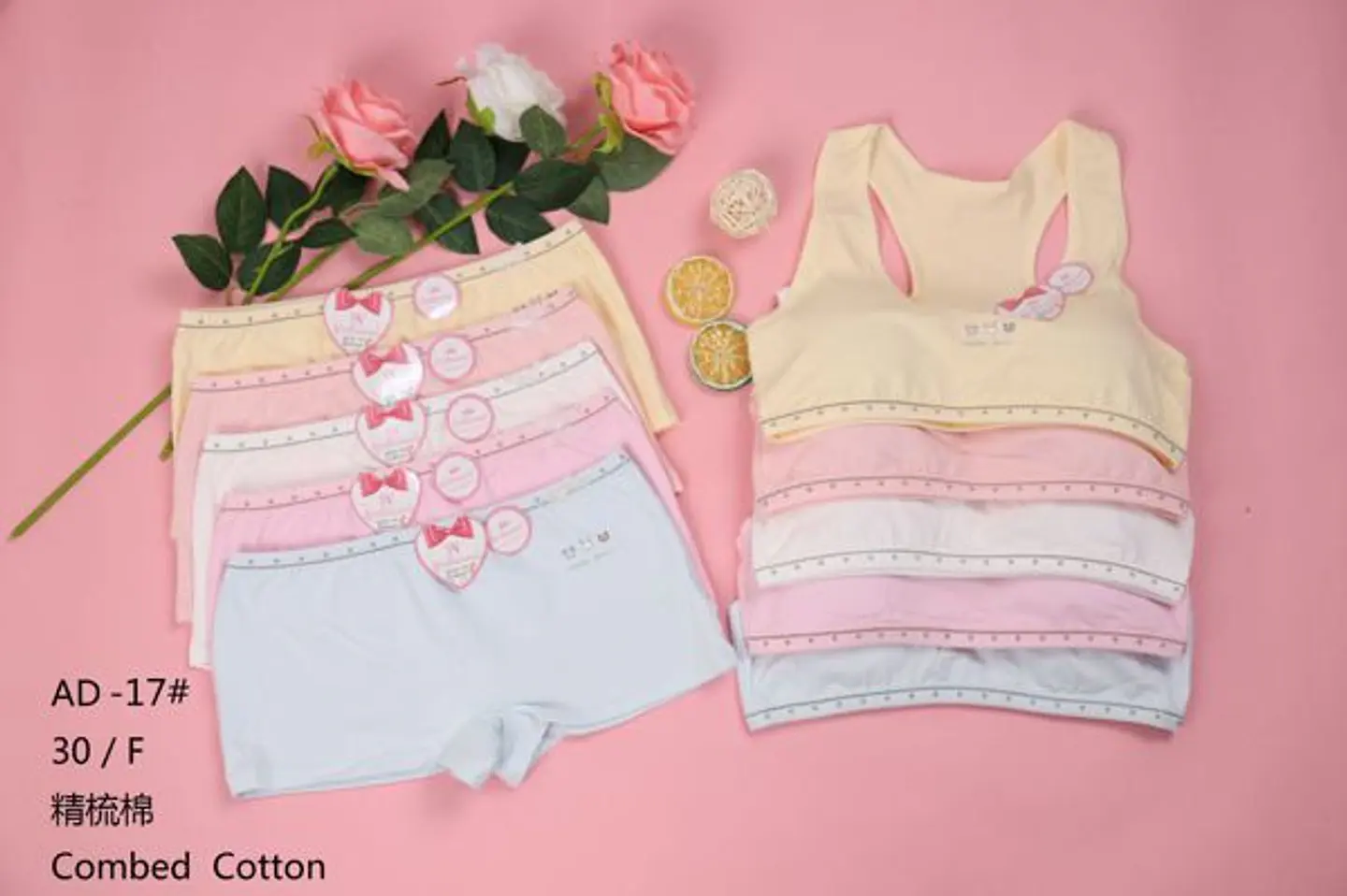 CONJUNTO AD-17 1
