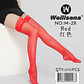 MEDIA PANTY CON ENCAJE M-28 - Miniatura 1