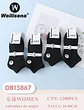DOCENA DE CALCETINES PARA MUJER DB13867 - Miniatura 1