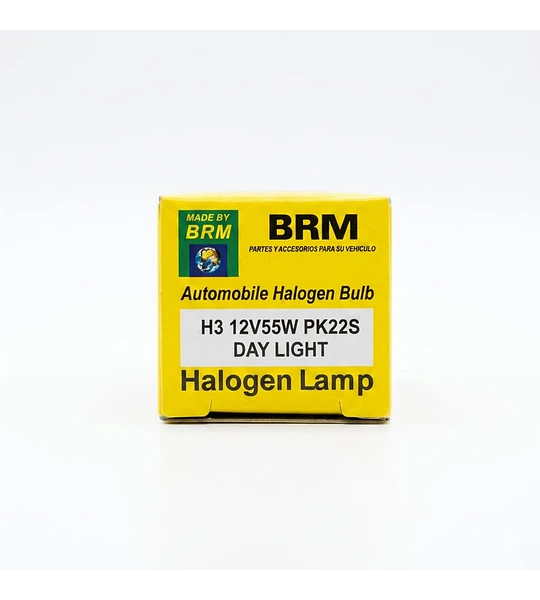 Halogen Lamp h3