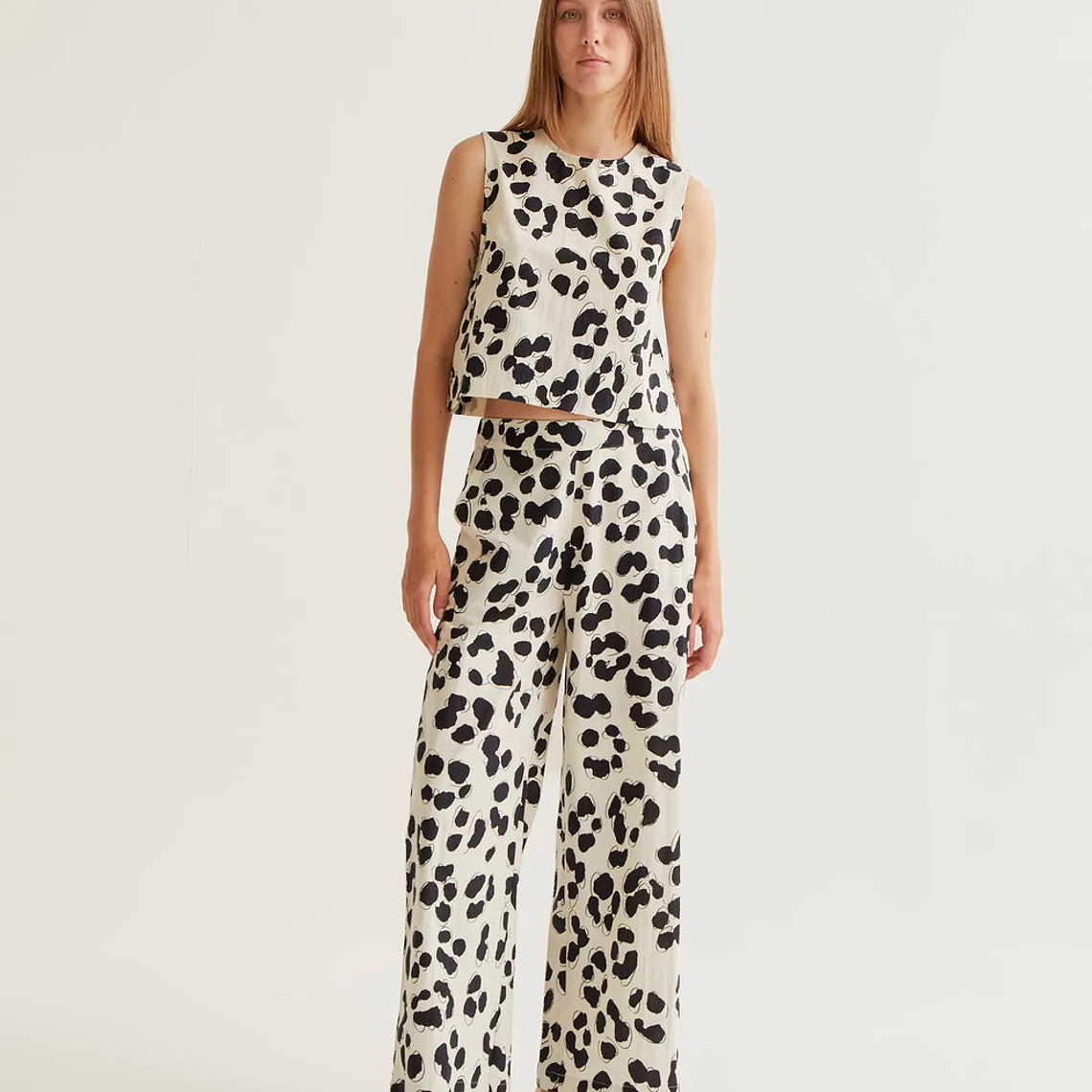 TOP DALMATA COMPAÑIA FANTASTICA  4