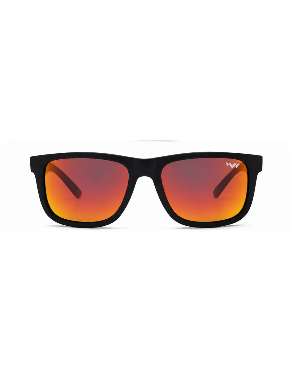 West Coast Bronce 2