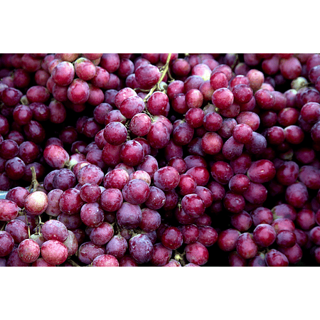 Grapes