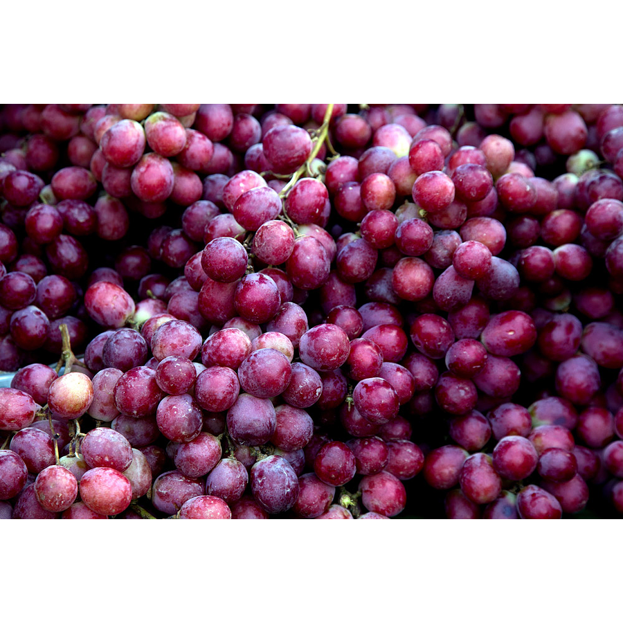 Grapes