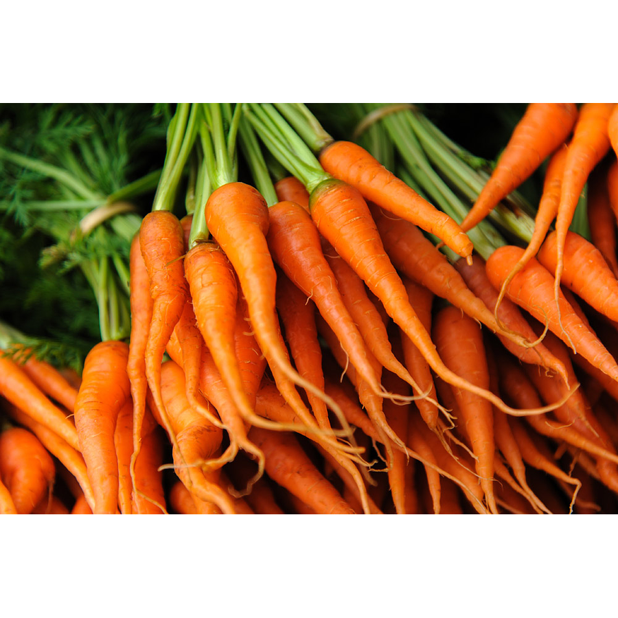 Carrots