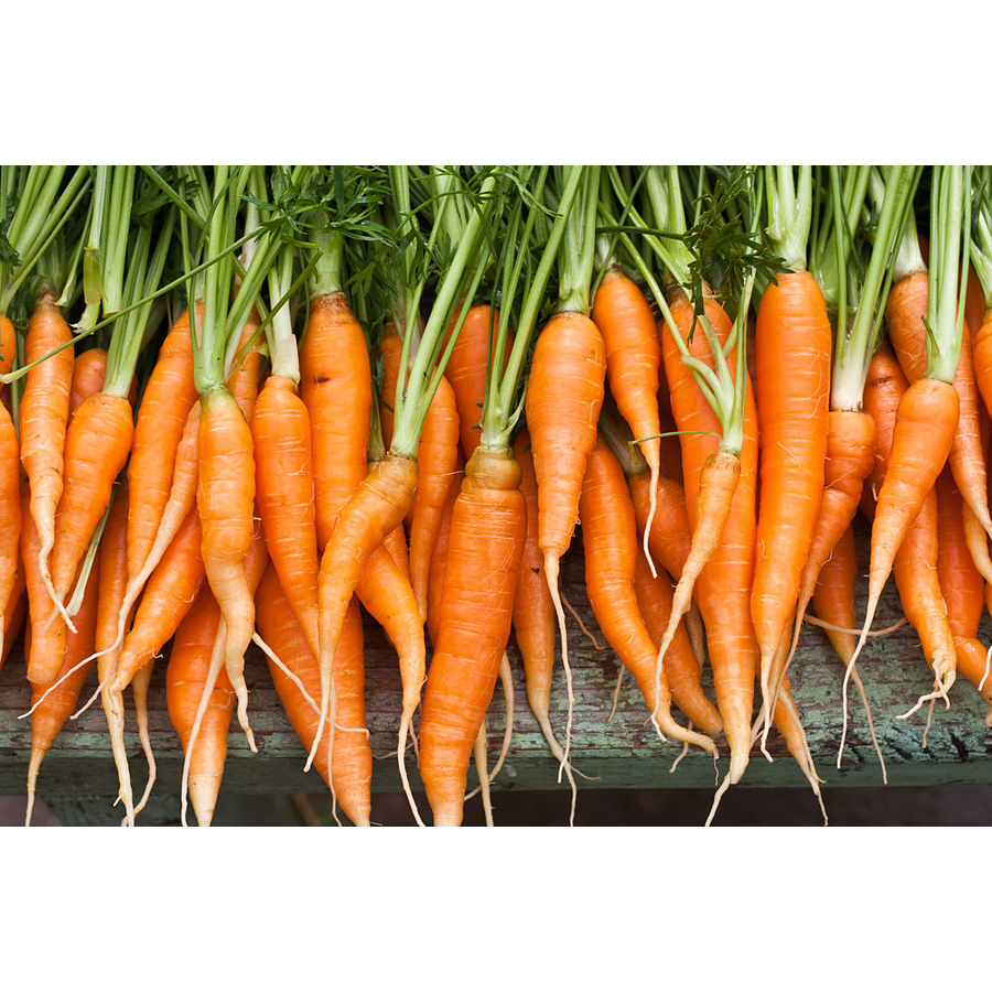 Carrots