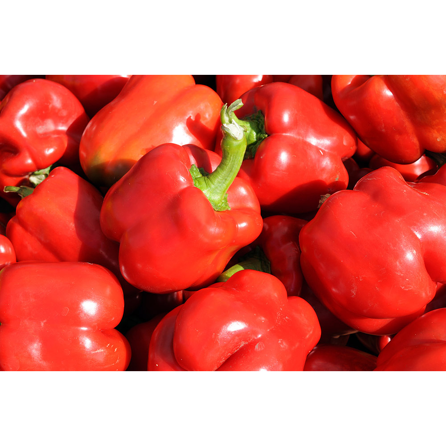 Red Sweet Peppers