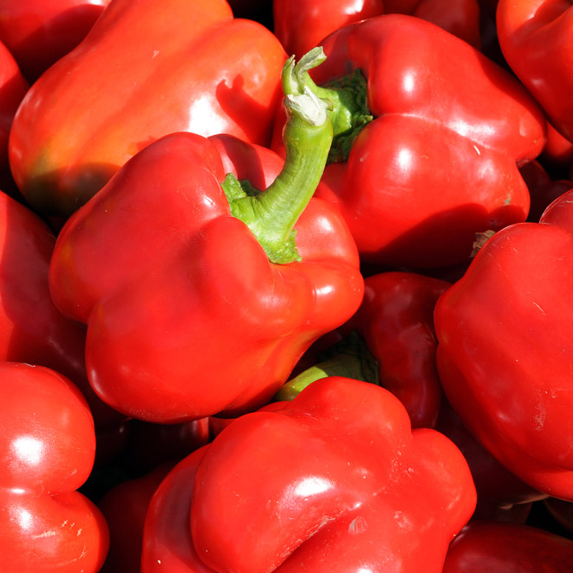 Red Sweet Peppers 1