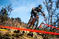 EtheN Ares WILDSTY - thumbnail 3
