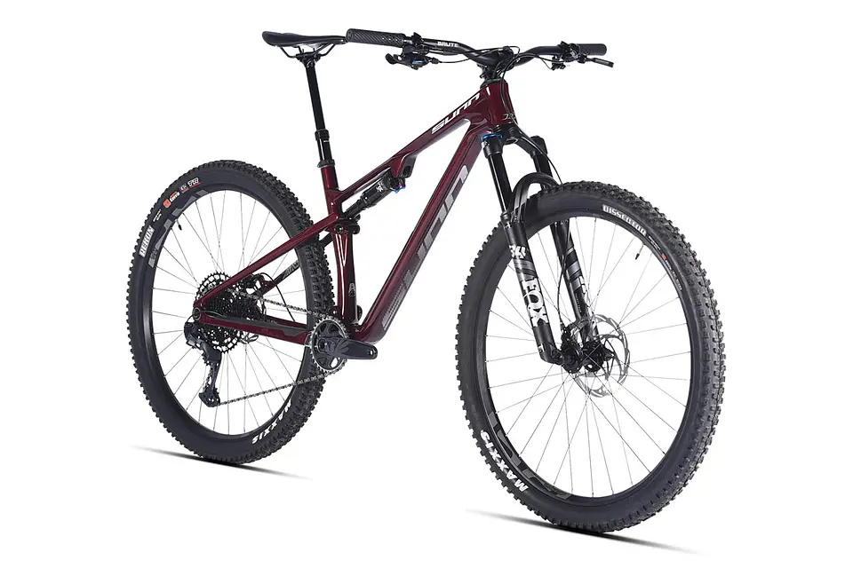 Bicicleta Sunn Shamann DC S2 1