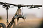 Bicicleta Sunn Shamann DC - Miniatura 4