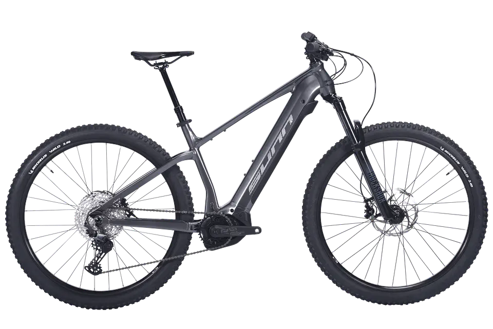 Bicicleta Ebikes Sunn Rage 1