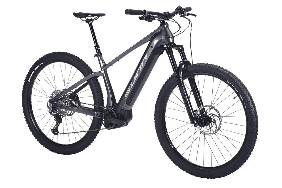 Bicicleta Ebikes Sunn Rage 2
