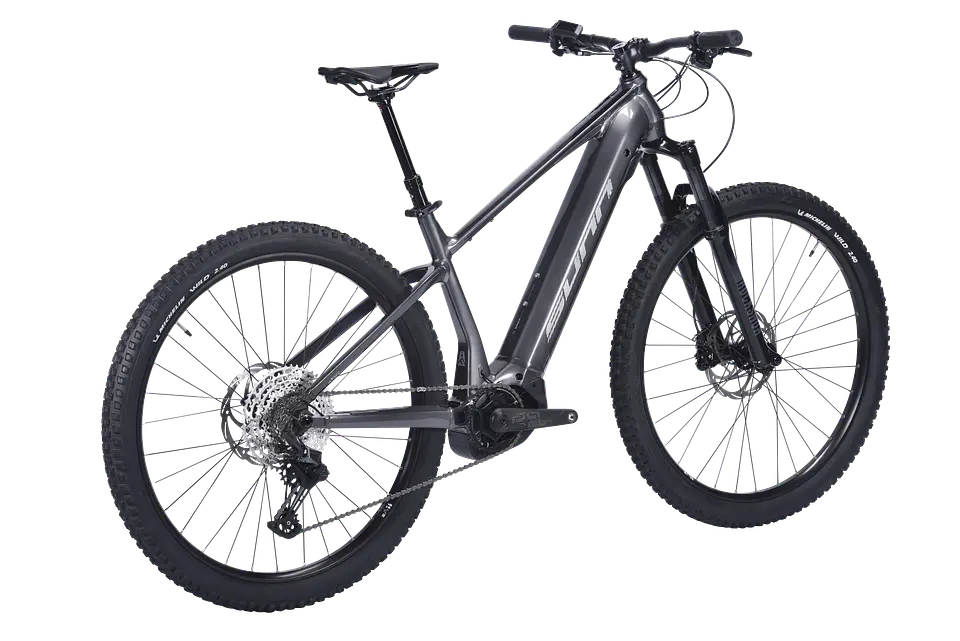 Bicicleta Ebikes Sunn Rage 3