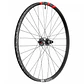 DT Swiss Rueda Trasera - FR 1500 CLASSIC - 29