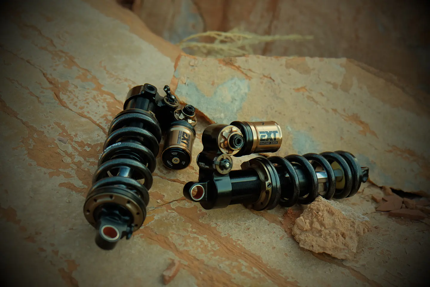 Shock EXT VECTA 10