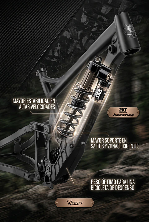 Cuadro DH Banshee Legend + EXT ARMA V3