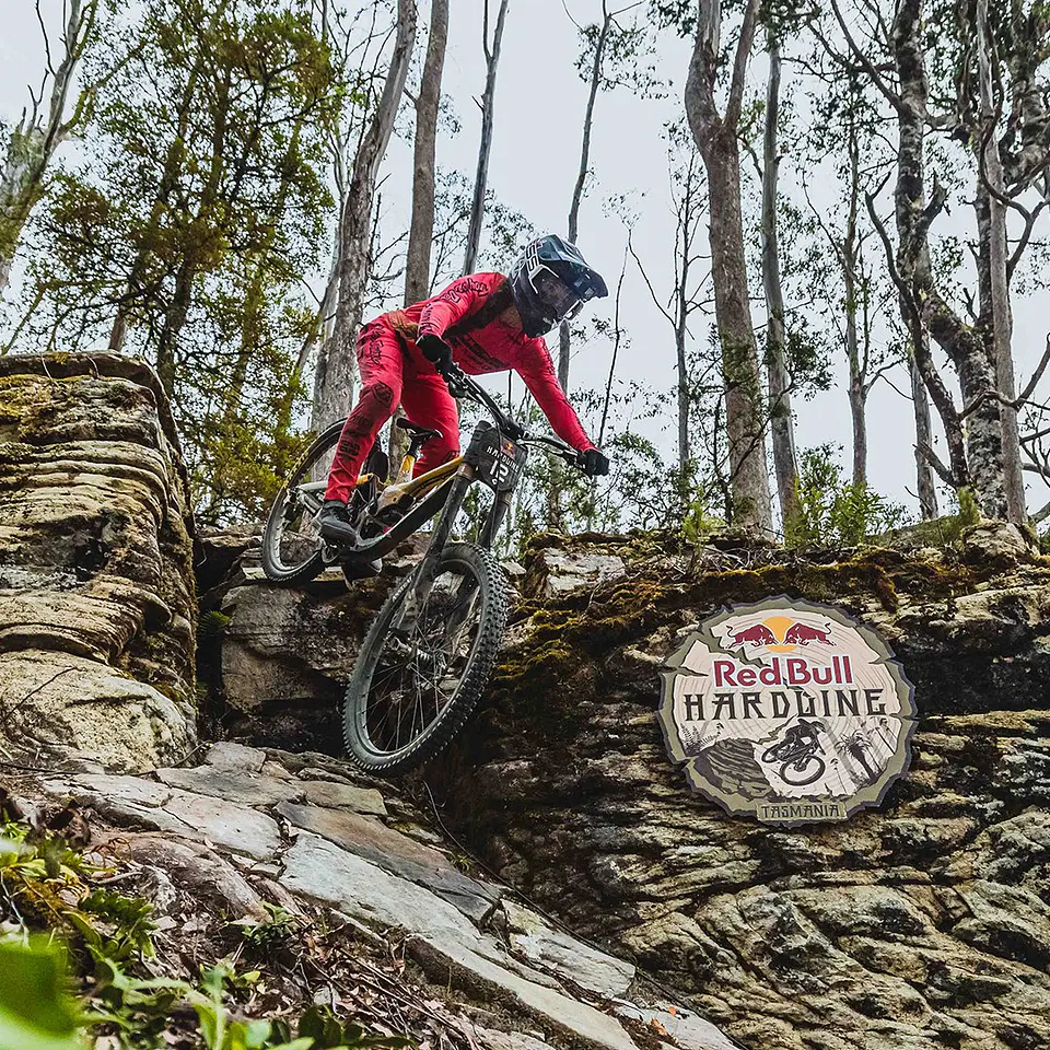 Shock EXT Arma V4 Descenso DH 2