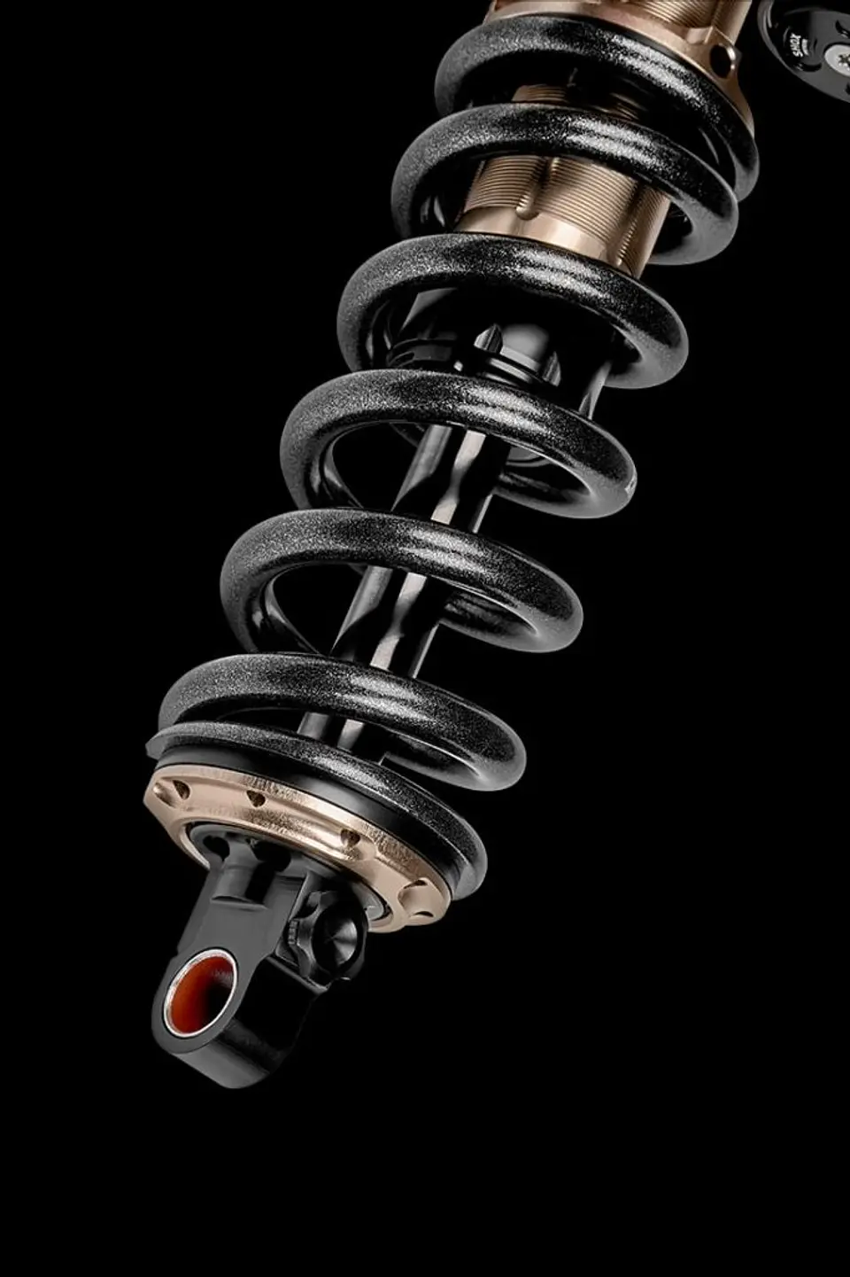 Shock EXT Arma V4 Descenso DH 4