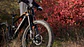Horquilla Descenso EXT VAIA DH - Miniatura 6