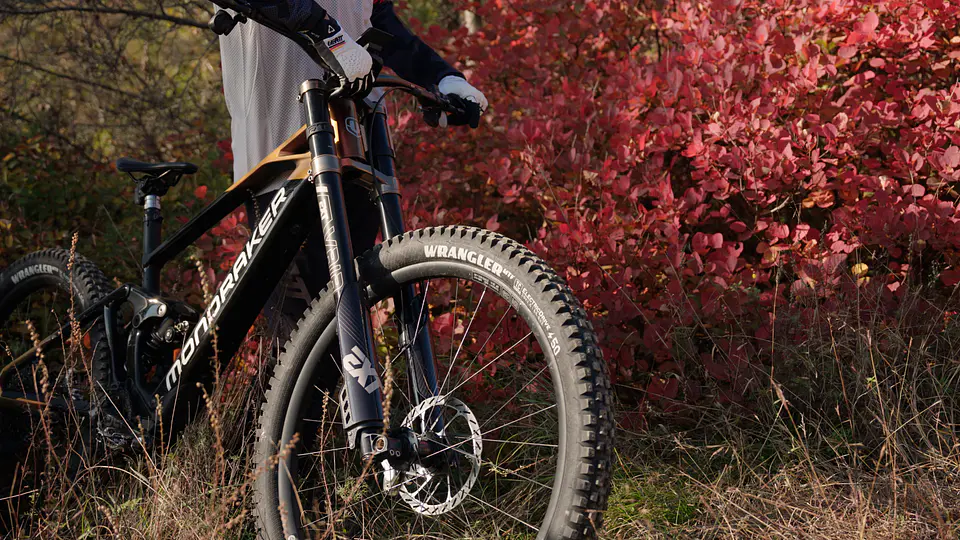 Horquilla Descenso EXT VAIA DH 6