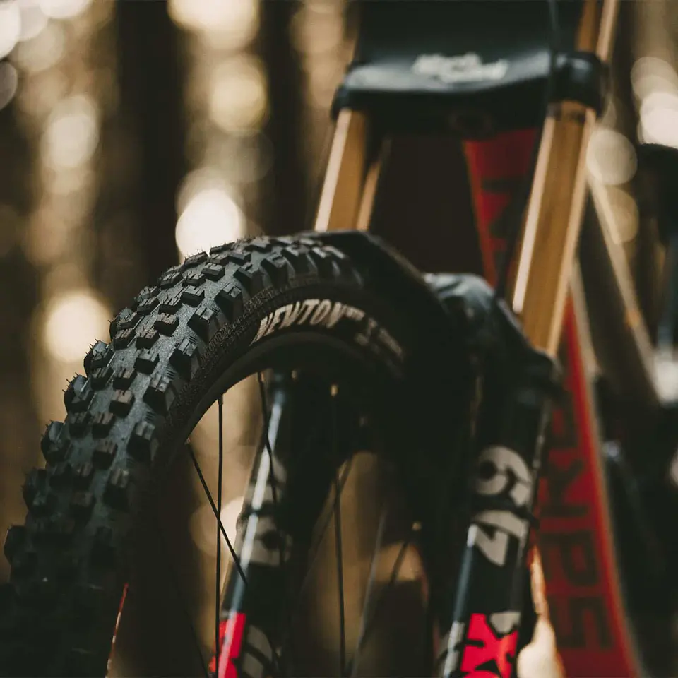NEUMATICO GOODYEAR NEWTON MTF DOWNHILL 29 X 2.5 2