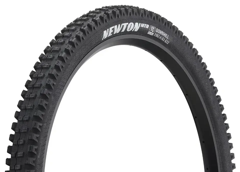 NEUMATICO GOODYEAR NEWTON MTR DOWNHILL 29 x 2.4 4