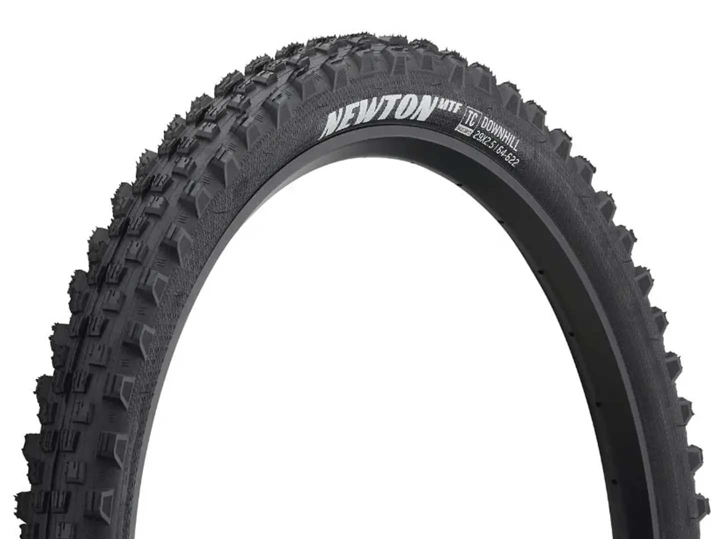 NEUMATICO GOODYEAR NEWTON MTF DOWNHILL 27.5 X 2.5 5
